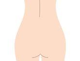 腰・お尻