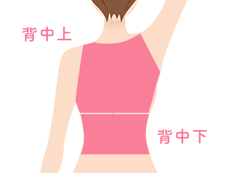 背中脱毛のq A 医療脱毛ならremvy 背中脱毛のq A 医療脱毛ならremvy