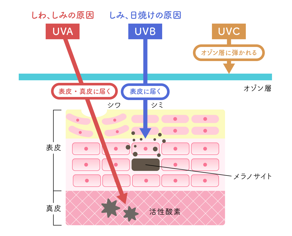 紫外線とUVA、UVB、UVCのイメージ画像